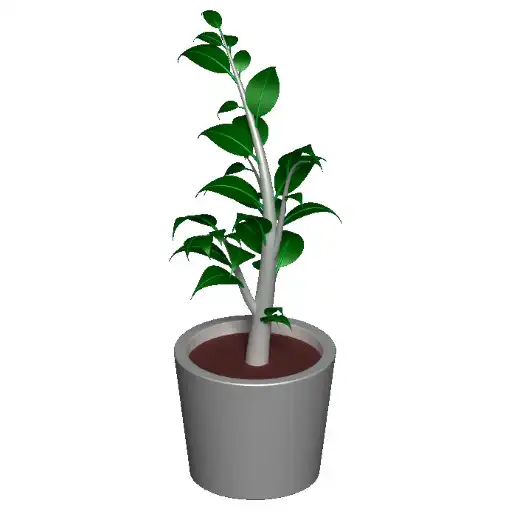 Play plant watering APK