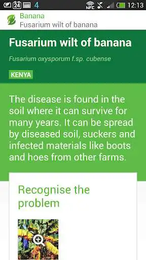 Play Plantwise Factsheets Library as an online game Plantwise Factsheets Library with UptoPlay
