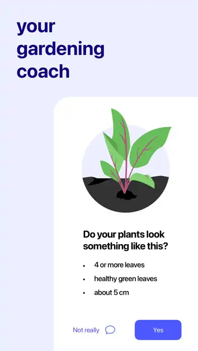 Play Planty Gardening  and enjoy Planty Gardening with UptoPlay