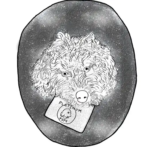 Play Platinum Pups APK Play Platinum Pups APK