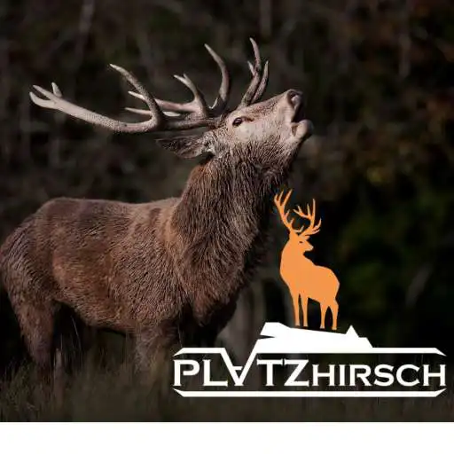 Play Platzhirsch Saas-Grund Saastal APK