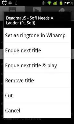 Play Playa Control for Winamp(R)