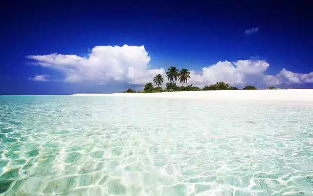 Play Playa Paraiso Live Wallpaper