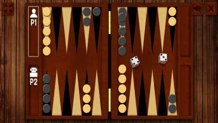 Play Play Backgammon Game