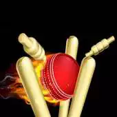 Free play online Play Cricket Game APK Free play online Play Cricket Game APK