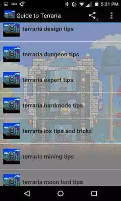 Play Play Guide for Terraria