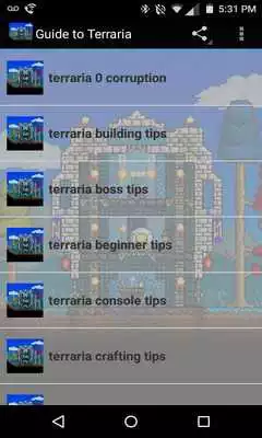 Play Play Guide for Terraria
