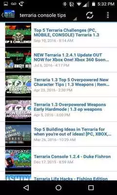 Play Play Guide for Terraria