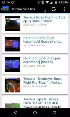 Play Play Guide for Terraria