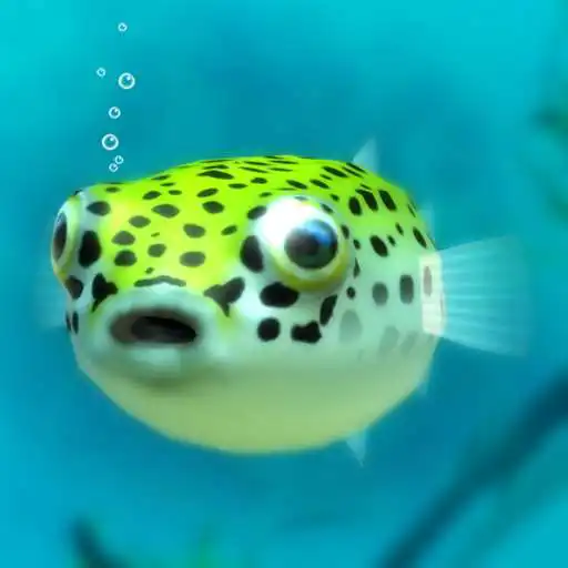 Play Playing with Puffer fish APK