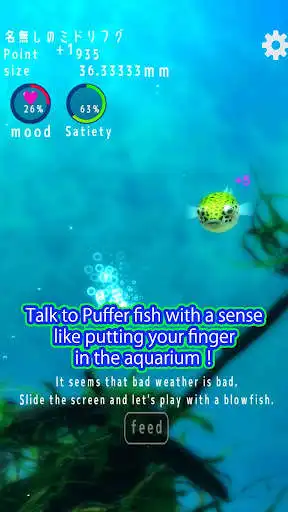 Play Playing with Puffer fish  and enjoy Playing with Puffer fish with UptoPlay