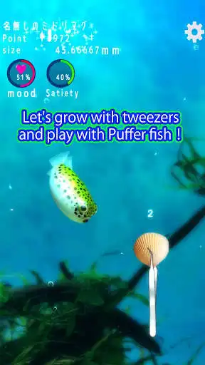 Play Playing with Puffer fish as an online game Playing with Puffer fish with UptoPlay