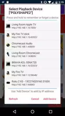 Play PlayTo Roku