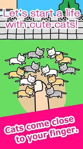 Play Play with Cats as an online game Play with Cats with UptoPlay