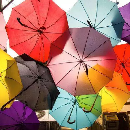 Play Pleasant Wallpapers APK