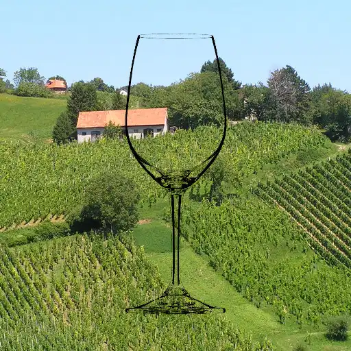 Play Plešivička vinska cesta APK