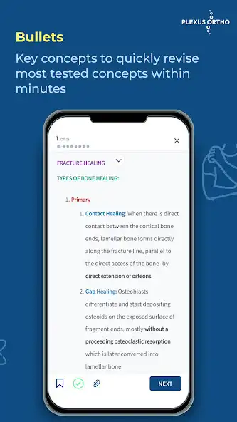 Play Plexus Ortho as an online game Plexus Ortho with UptoPlay