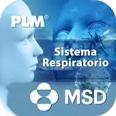 Free play online PLM Sistema Respiratorio Tableta APK