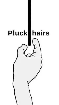 Play Pluck It. Play Pluck It.