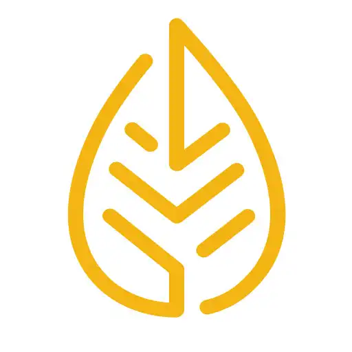 Play Pluk: Geleide meditaties APK