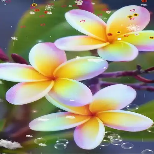 Play Plumeria Flower Wallpaper APK