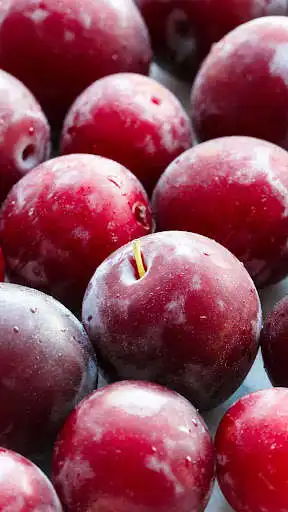 Play Plum wallpapers  and enjoy Plum wallpapers with UptoPlay