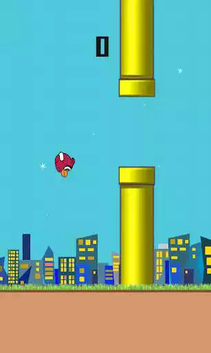 Play plush bird as an online game plush bird with UptoPlay