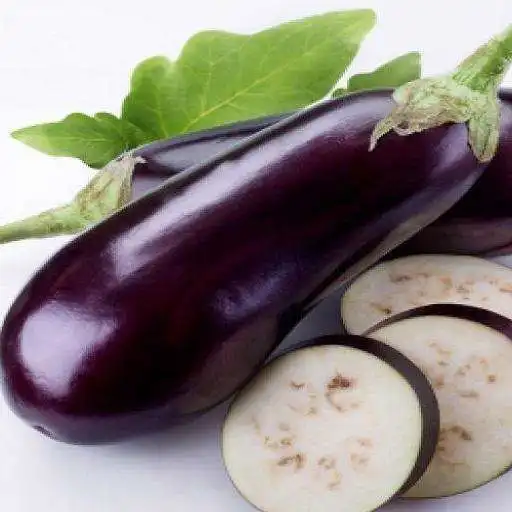 Play pmis-brinjal APK