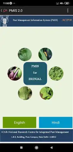 Play pmis-brinjal  and enjoy pmis-brinjal with UptoPlay