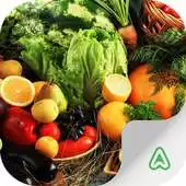 Free play online Pocket Agriculture APK Free play online Pocket Agriculture APK