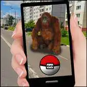 Free play online Pocket Apes GO APK
