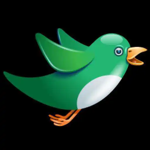 Play Pocket Bird + Livechat APK Play Pocket Bird + Livechat APK