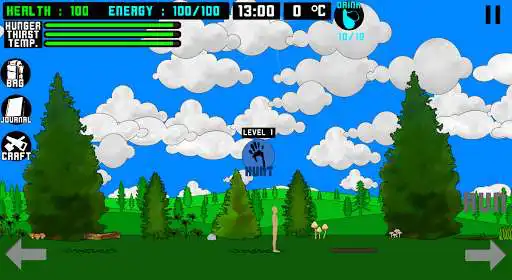 Play Pocket Camping as an online game Pocket Camping with UptoPlay