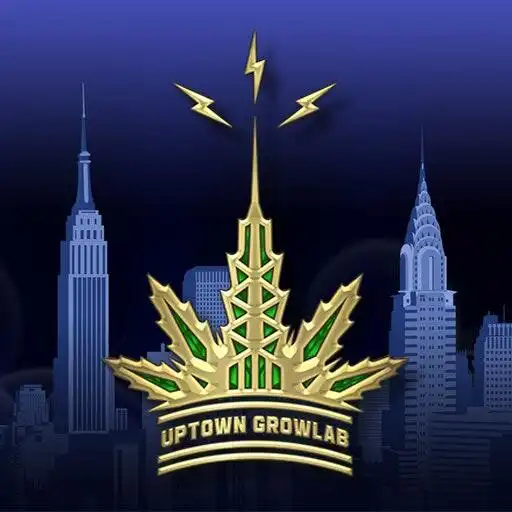 Play Pocket Cannabis Guide by Uptown Growlab APK Play Pocket Cannabis Guide by Uptown Growlab APK