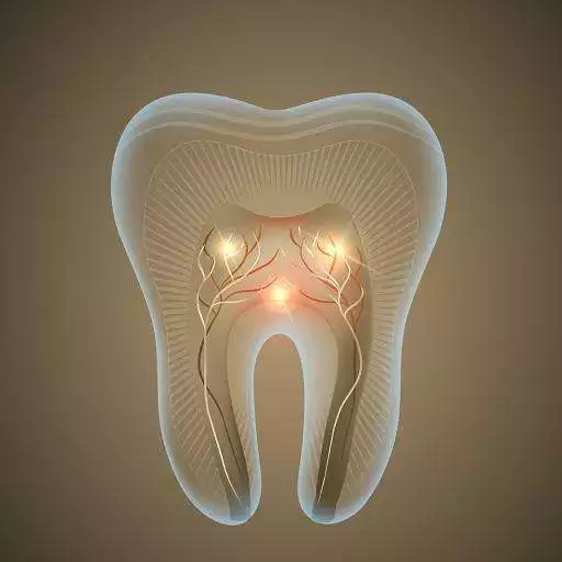 Play Pocket Dental APK