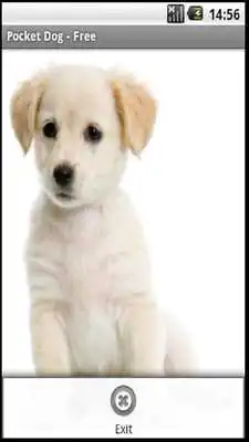 Play Pocket Dog - Free