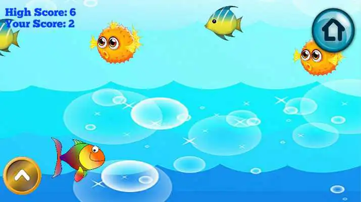 Play Pocket game 5 in 1