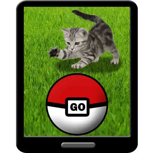 Free play online Pocket Kitten GO APK Free play online Pocket Kitten GO APK