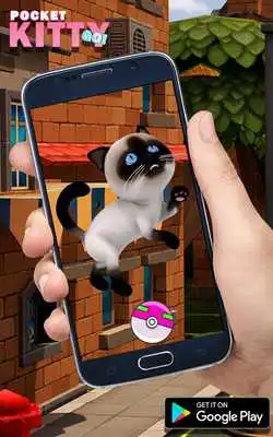 Play Pocket Kitty Go!