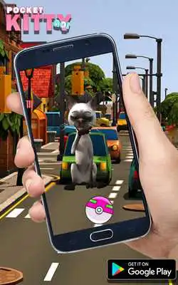 Play Pocket Kitty Go!