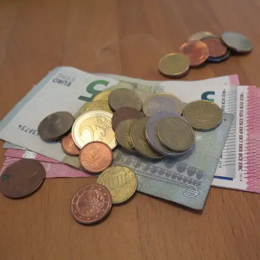 Play Pocket Money - Child Version APK Play Pocket Money - Child Version APK