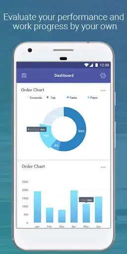Play Pocket Sales71 (FMCG)