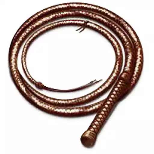 Free play online Pocket Whip APK