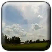 Free play online Podlasie Meadow Live Wallpaper APK