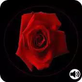 Free play online Poema una figura santa para la madre con Audio APK