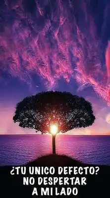 Play Poesias de amor