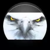 Free play online PointOfView APK Free play online PointOfView APK