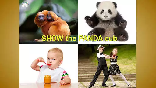 Play Point the picture! First words toddler kids games as an online game Point the picture! First words toddler kids games with UptoPlay