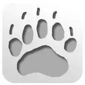 Free play online Polar Bear Adventures APK