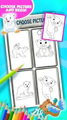 Play Polar Bear Coloring Book